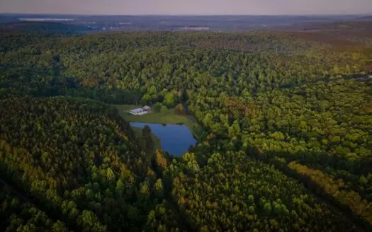 Land for Sale with Home, Shop, and Pond Near Denton Nc