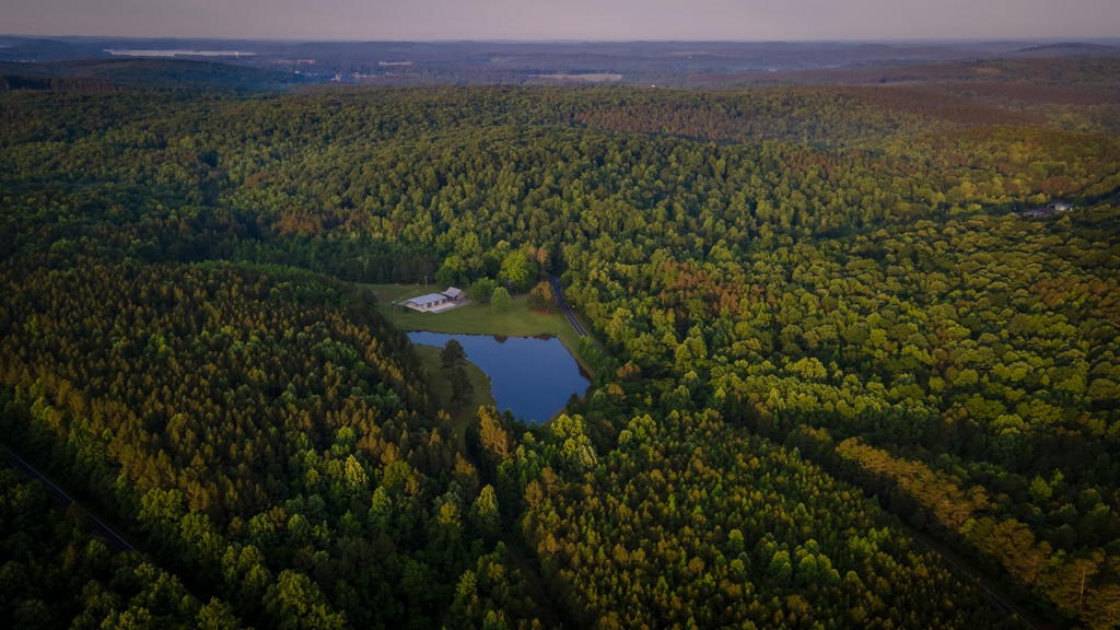 Land for Sale with Home, Shop, and Pond Near Denton Nc