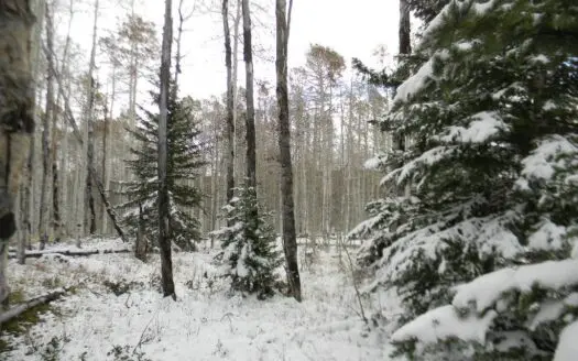 Lot for Sale, Mountain Property, Montrose, Colorado