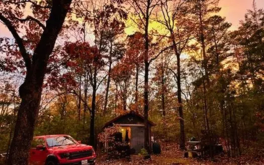 7.5 Acres & Unfinished Cabin in Kiamichi Wilderness for Sale