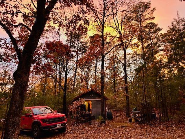 7.5 Acres & Unfinished Cabin in Kiamichi Wilderness for Sale