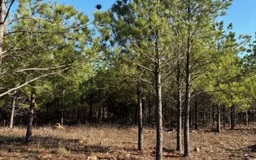 Nashoba, Ok Land For Sale – Hardy Creek Estates Tract #7