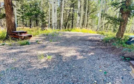 RV or Cabin Lot in Cimarron Colorado 1 Acre Mountain Land For Sale