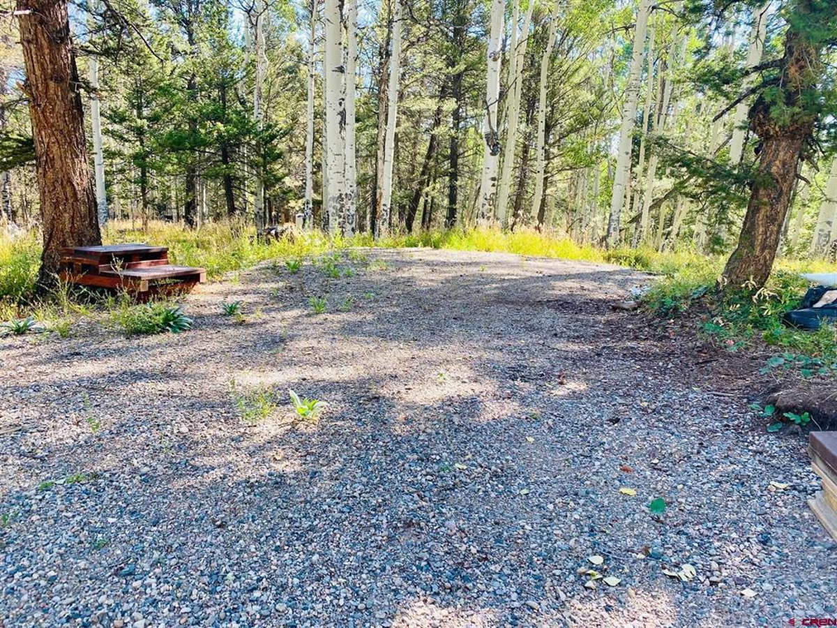 RV or Cabin Lot in Cimarron Colorado 1 Acre Mountain Land For Sale