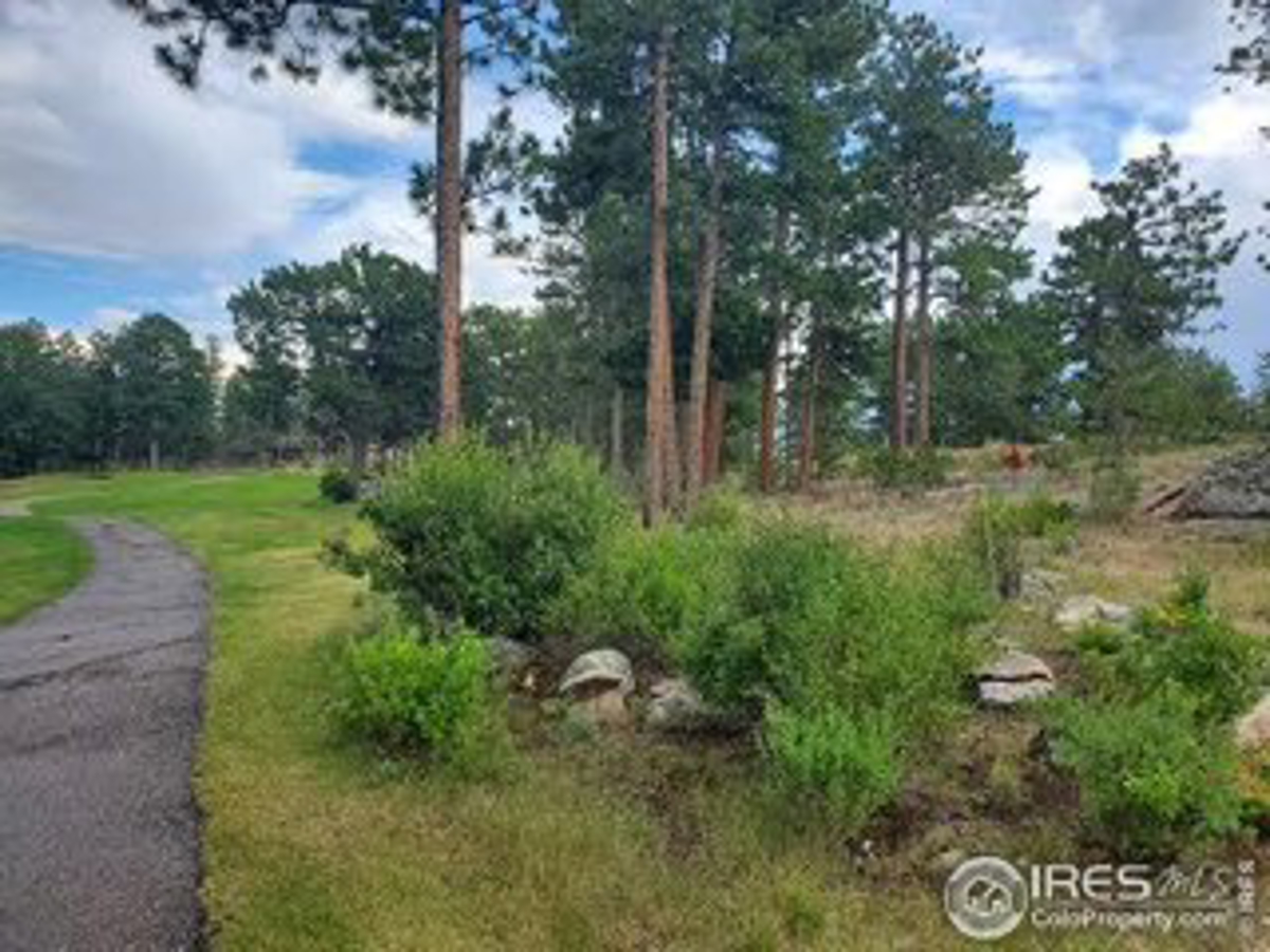 Beautiful Lot with Stunning View of Lake Arapahoe