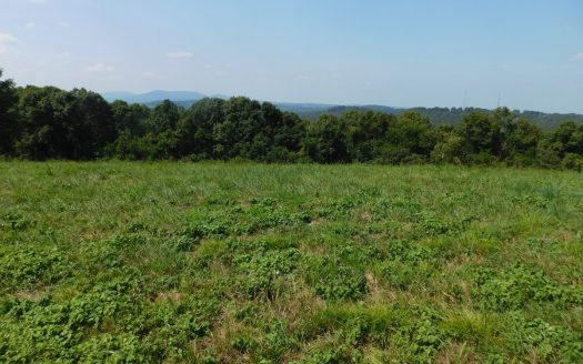 Newton County Pasture Hunting Land 361 Acres For Sale