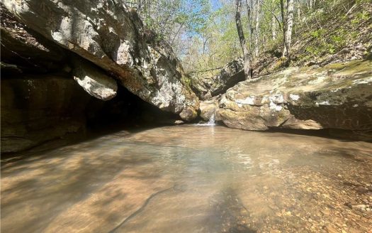 4 Ac Off Grid Land Retreat & Creek Near Jasper, For Sale