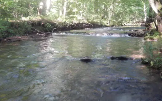 80.47-Ac Private Retreat, Country Cabin, Creeks & Hunting!