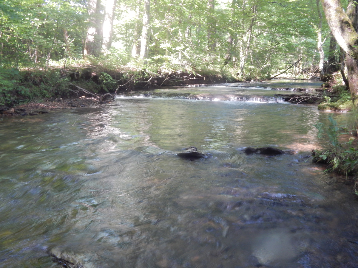 80.47-Ac Private Retreat, Country Cabin, Creeks & Hunting!