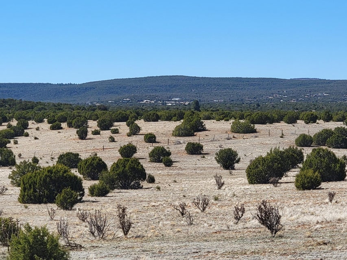 40 Secluded Acres in Estancia NM | Manzano Foothills Land