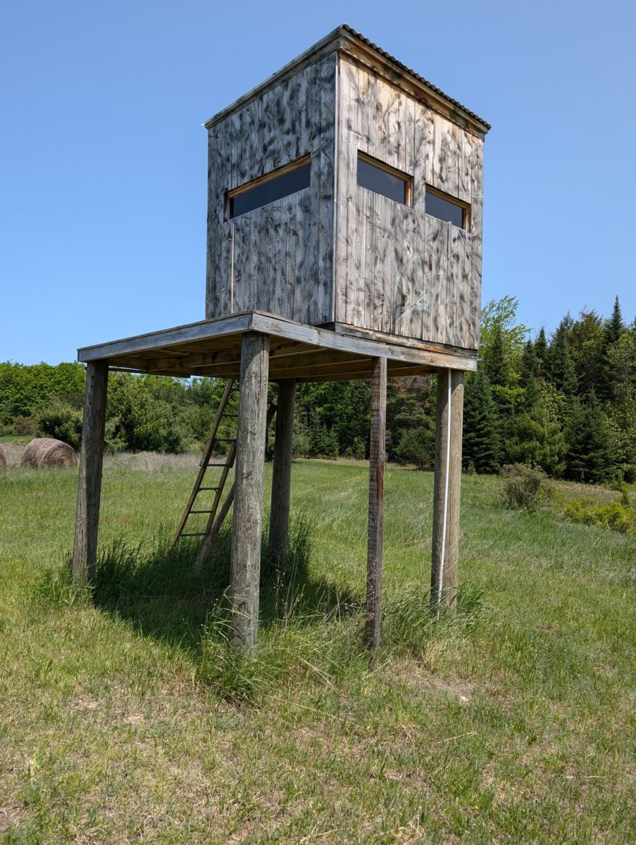 Northwoods Hunting & Recreation – 50 acres