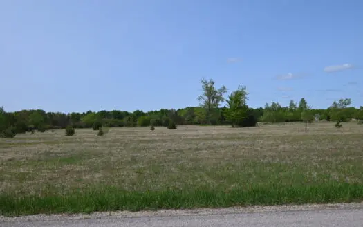 10 Acres in Kalkaska MI with Additional Available