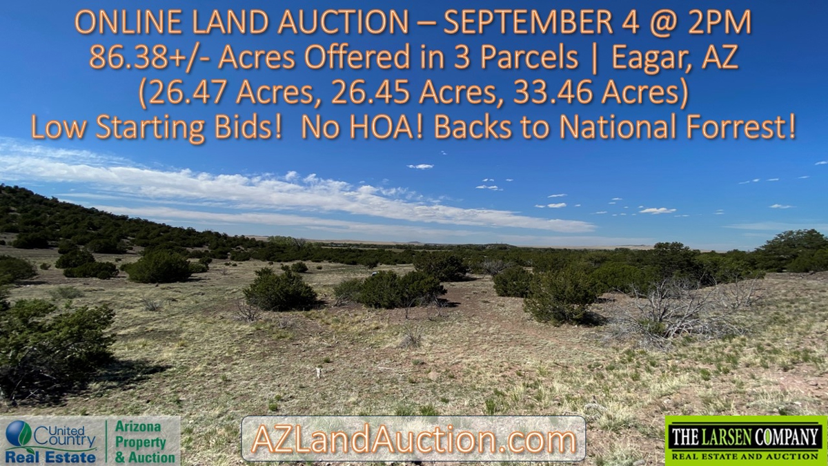 Bigelow Estate Land Auction 86.38 Acres In 3 Parcels (Eagar, Az)