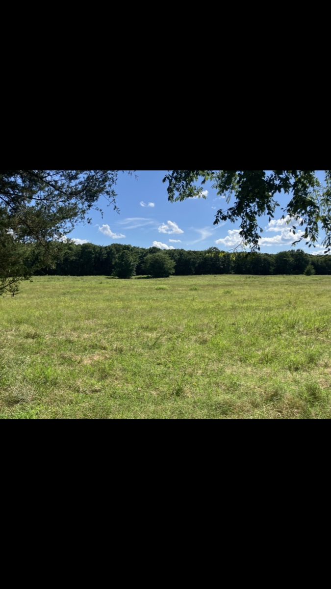 Beautiful Hillside Acreage For Your Forever Home