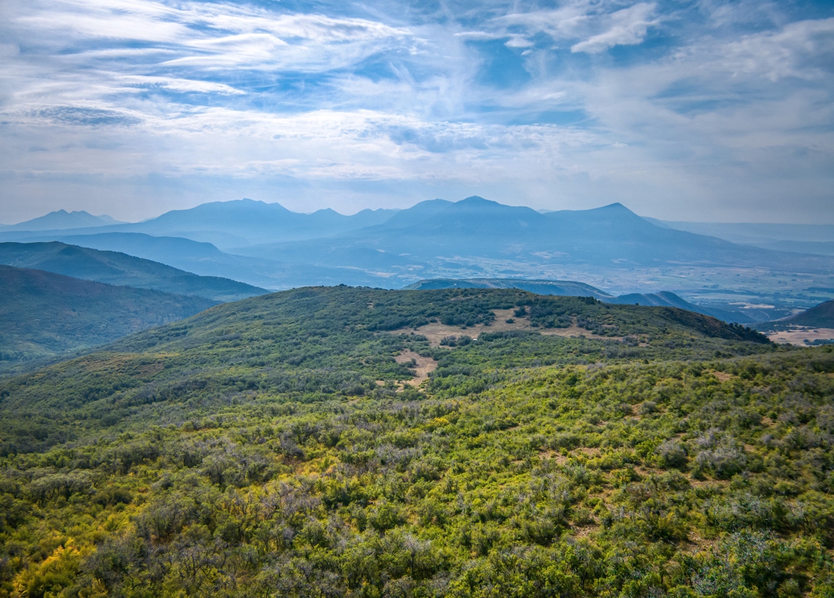 Whiskey Jug Ranch 465 Acres Paonia CO Premium Hunting Unit 521