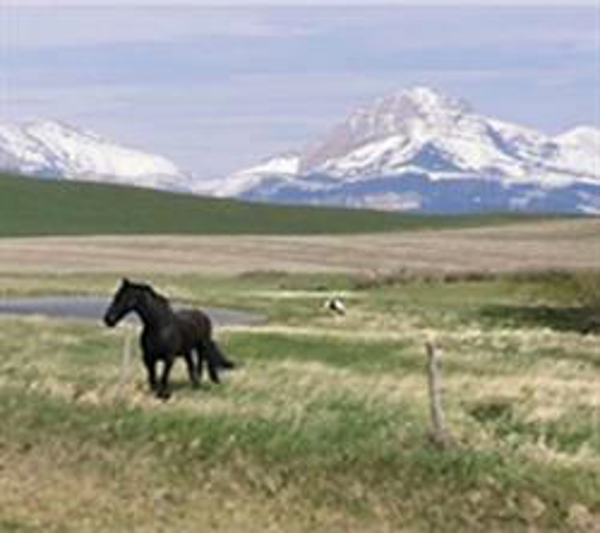 Country Property in MT , 9.95 acres, Horse Barn, cross-fenced