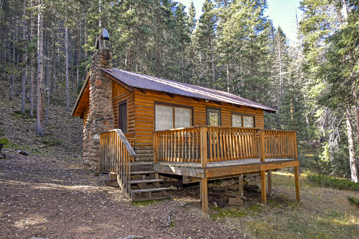 Rare National Forest Cabin for Sale in Teller County