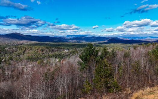 Lot For Sale in Gated Riverfront Community – Caldwell County