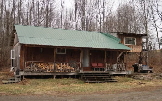 Hunting Cabin with 17 Acres in Willet NY