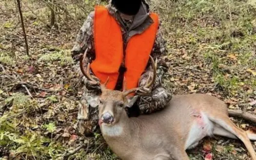 Asilo Farms on Bala Chitto Creek, Southwest Mississippi