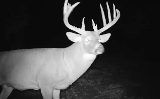 Osage County Kansas 156 Acres With Beautiful Barndomimium