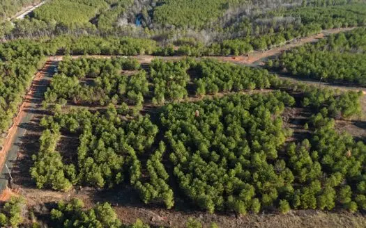 Nashoba, Ok Land For Sale – Hardy Creek Estates Tract #9