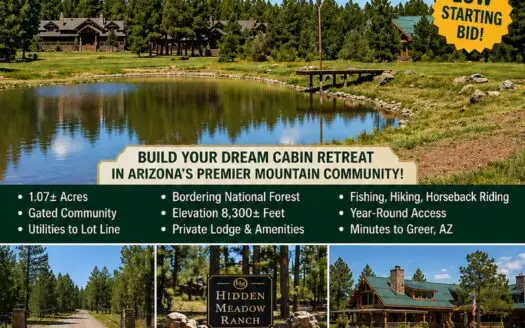 Online Auction: Hidden Meadow Ranch 1± Acre Lot in Greer, AZ