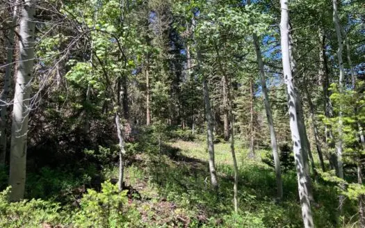 Mountain Lot For Sale In Cimarron, Colorado