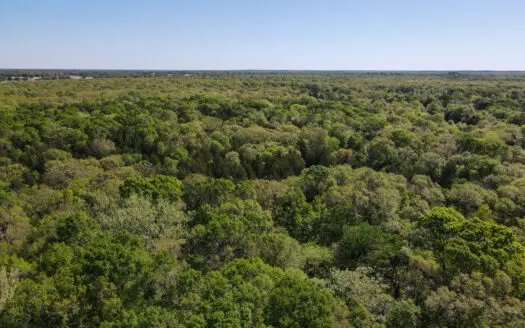 Hunting Recreational Land For Sale Fannin County Texas Cabin Shop