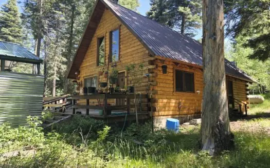 Log Cabin for Sale Near Vallecito Lake | Mountain Retreat | SW CO