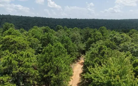 25 Acre Mountain and Hunting Property FOR SALe