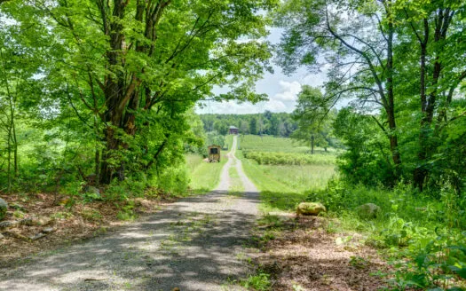 Large Acreage Retreat With Blueberry Farm For Sale in Dolgeville