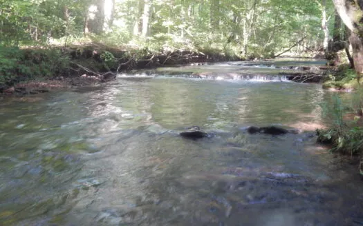 80.47-Ac Private Retreat, Country Cabin, Creeks & Hunting!