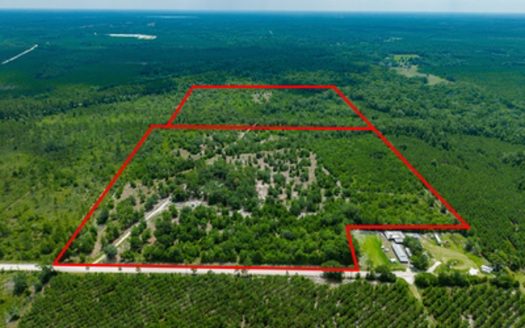 74 Acres In Lulu Florida For Sale
