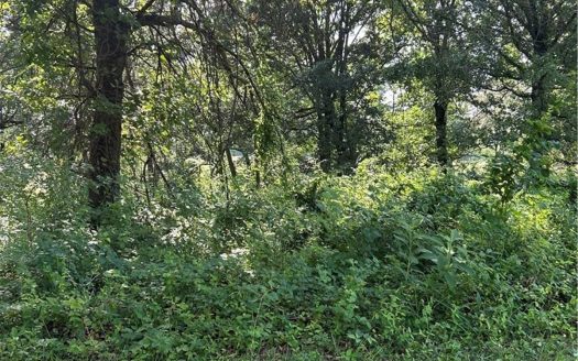 Home Site 4.21 Acre Lot in Luxury Harrison Neighborhood For Sale