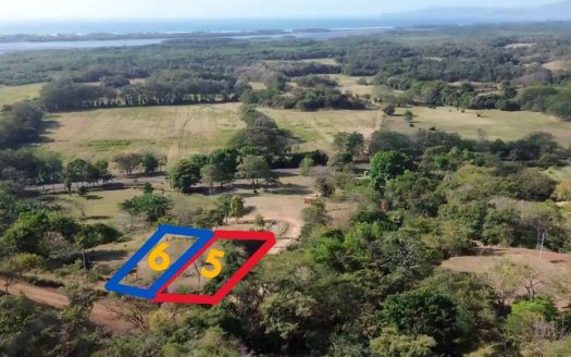 Luxury Eco-Development with Ocean-View Lot 5 + 6