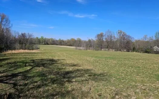 Arkansas cattle Ranch for sale 100 acres