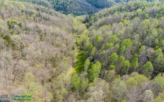 Hunting Property in Burkesville, Kentucky