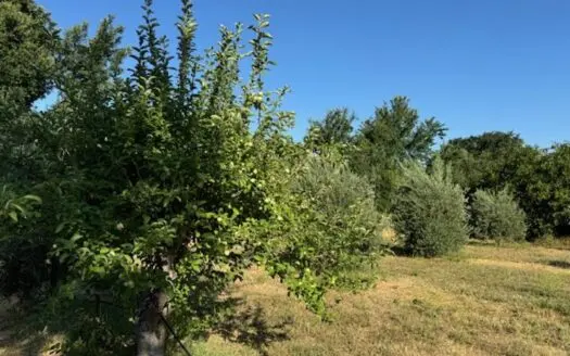 Country Properties in Guinda, California for Sale