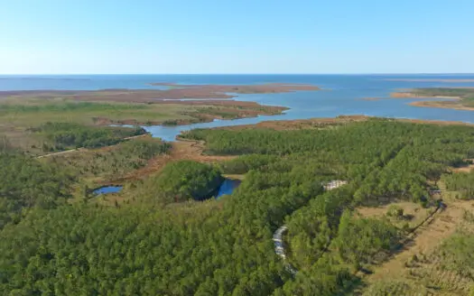 200-Acre Hunting & Waterfront Tract in Hyde County, NC
