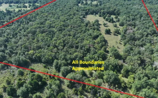 Unrestricted 57 Acres on CR 935 – Build, Hunt, or Ranch