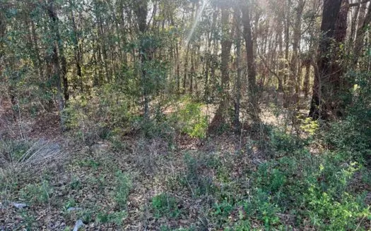 2 Acre Homesite Near Enterprise, AL