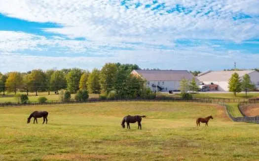 Protecting your ranchland