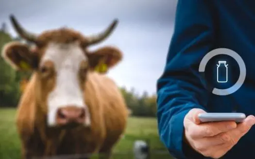 Ranching trends for 2022