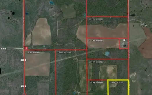 25 Heavily Treed Acres in Shackelford County, Tx