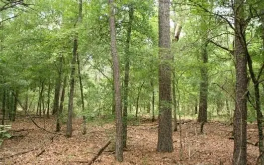 90+ Acres/ Recreational