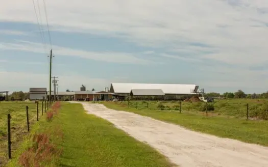 Fully Functioning Dairy Farm for Sale in Live Oak, Florida