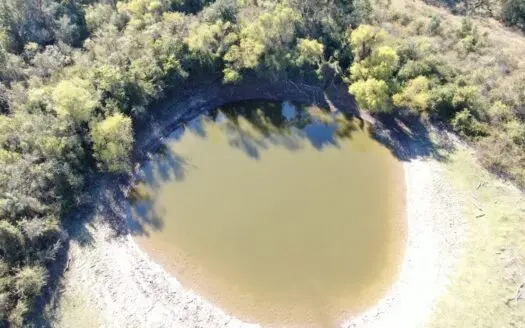 125 Acres Amazing Hunting Ranch in May, Tx