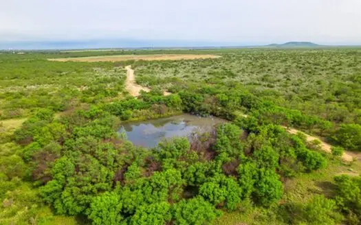 Irrigated South Texas Hunting Ranch for Sale – Kinney County
