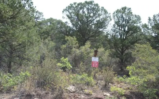 Glade Park Land for Sale